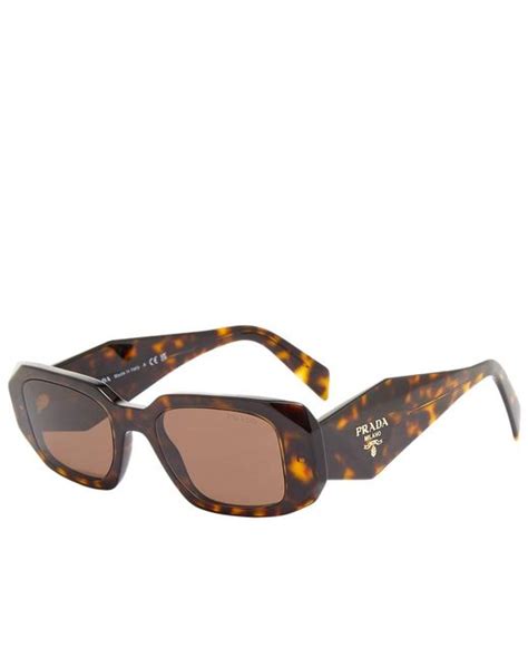 prada 17ws sunglasses tortoise|prada women's pr 22zs sunglasses.